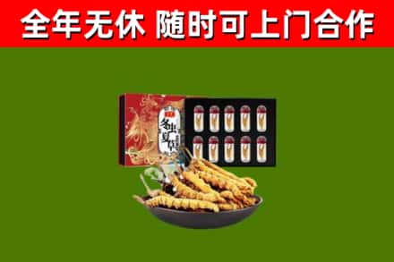 播州区回收冬虫夏草价格
